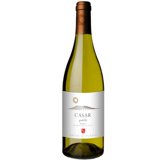 Casar de Burbia Godello 2021