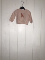 Tweedehands HEMA kinderkleding Trui