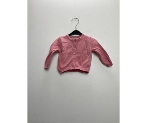 Young Dimension Vest