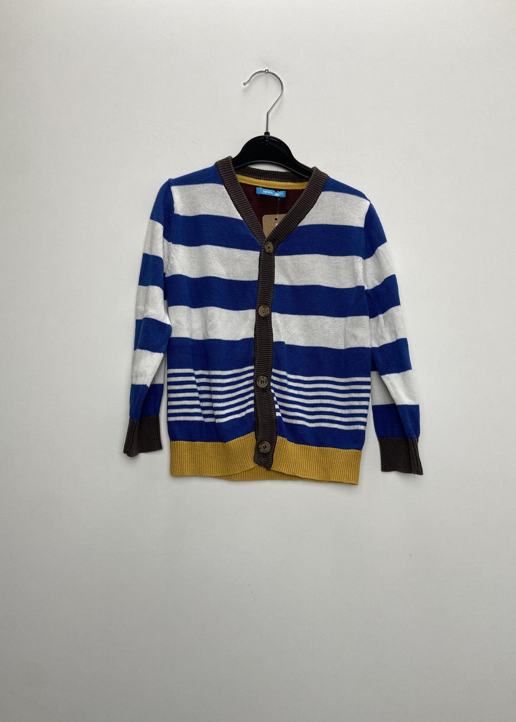 HEMA Vest