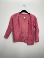 Zeeman Vest