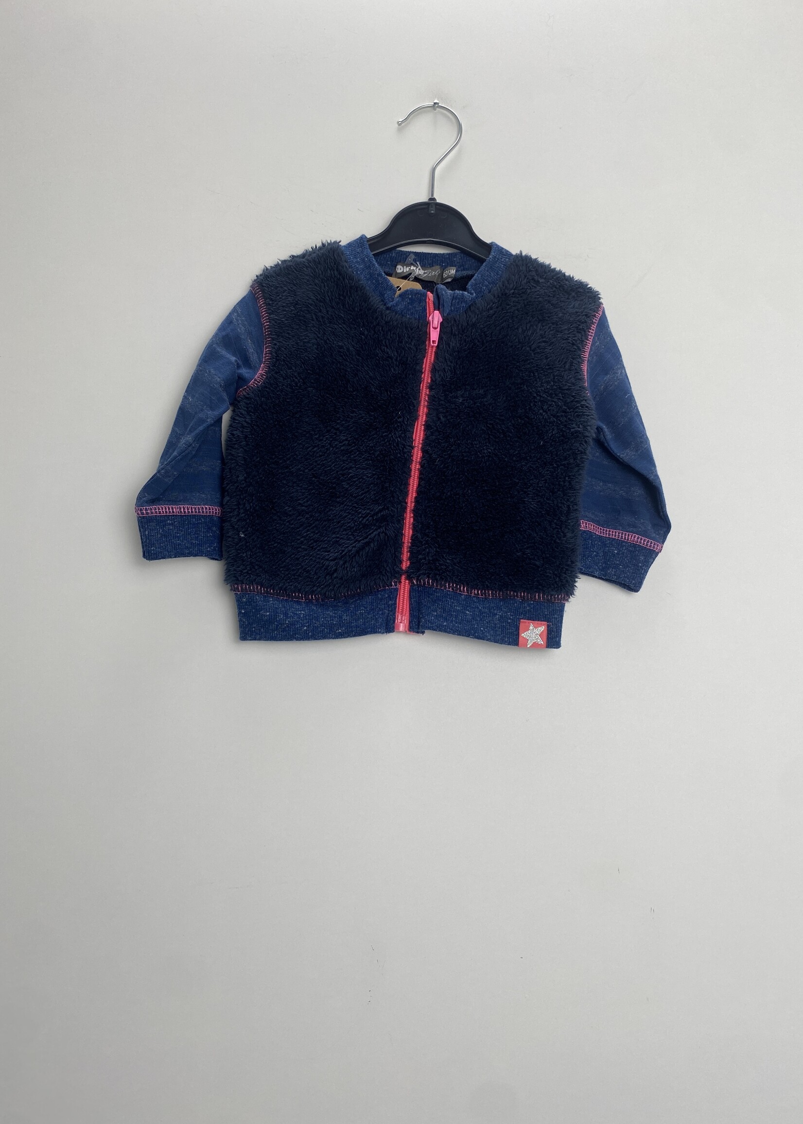 Dirkje Vest
