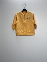 Zeeman Vest