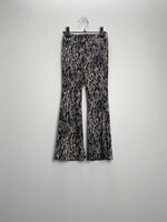 JM Broek