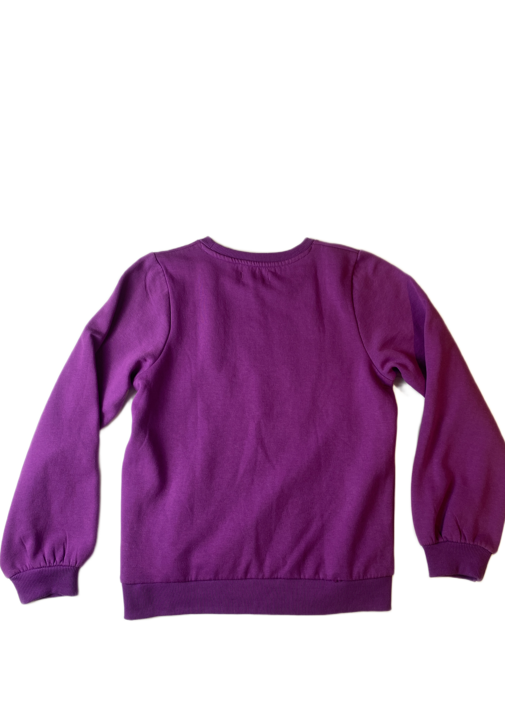 Europe Kids BijBO Trui