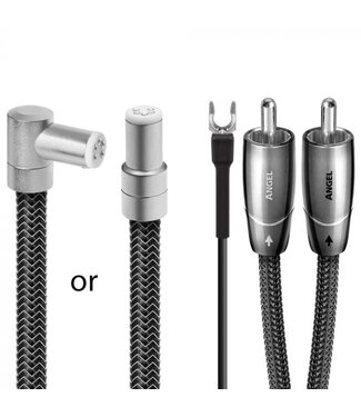 Audioquest Angel 1.2m - Tonearm Kabel