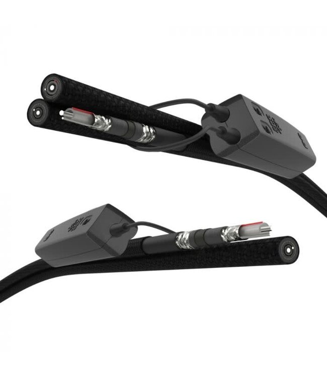 Audioquest Dragon RCA (Set van 2) - Analoge Interlink