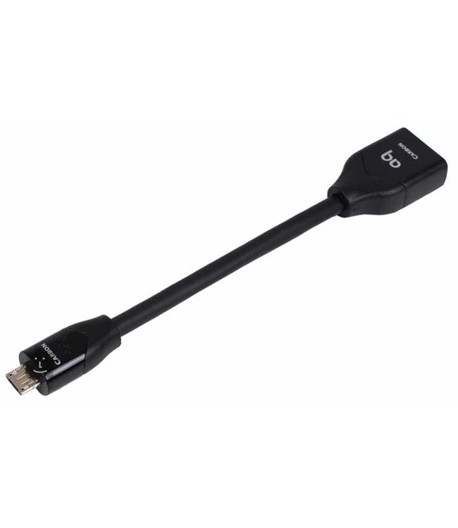 Audioquest Adapter DragonTail A to C
