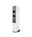 Audiovector Audiovector R6 Arrete (Set van 2) - Vloerstaande Luidsprekers