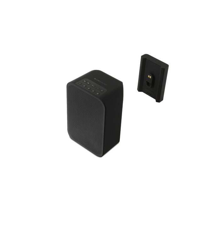 Bluesound BP100 - Battery Pack