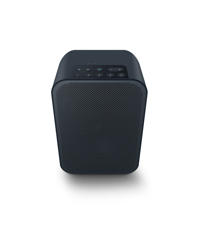 Bluesound Pulse Flex 2i - Draadloze Luidspreker