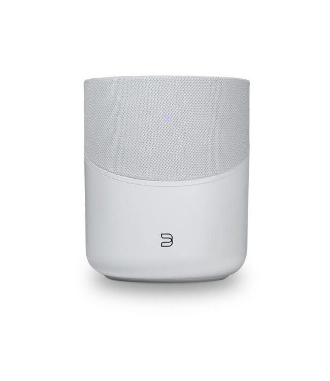 Bluesound Pulse M - Draadloze Luidspreker