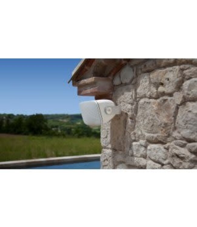 Bowers & Wilkins AM-1 (Set van 2) - On-wall Luidsprekers