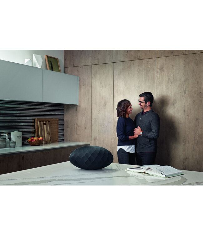 Bowers & Wilkins Formation Wedge - Draadloze Luidspreker