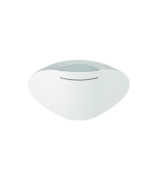 Bowers & Wilkins Formation Wedge - Draadloze Luidspreker