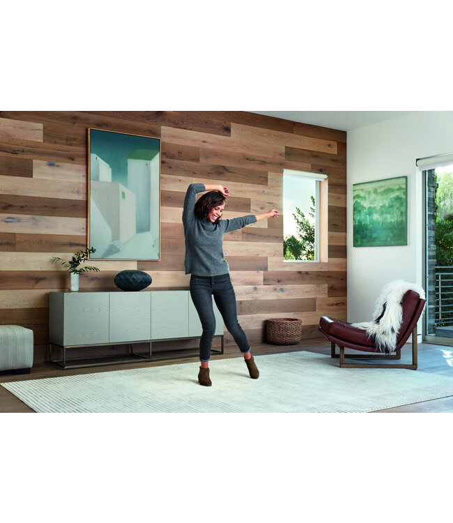 Bowers & Wilkins Formation Wedge - Draadloze Luidspreker