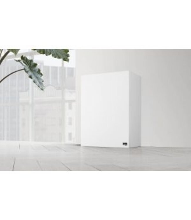 Lyngdorf BW-2 - Subwoofer