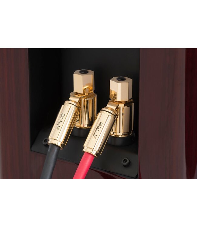 McIntosh LCR80 - 3-weg LCR luidspreker voor home cinema en stereo