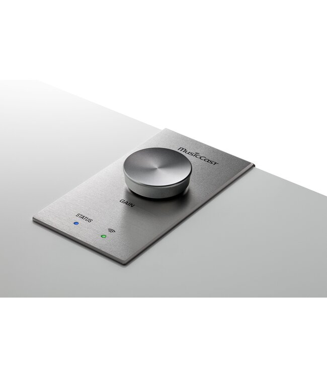 Yamaha MusicCast SUB 100 - Draadloze Subwoofer