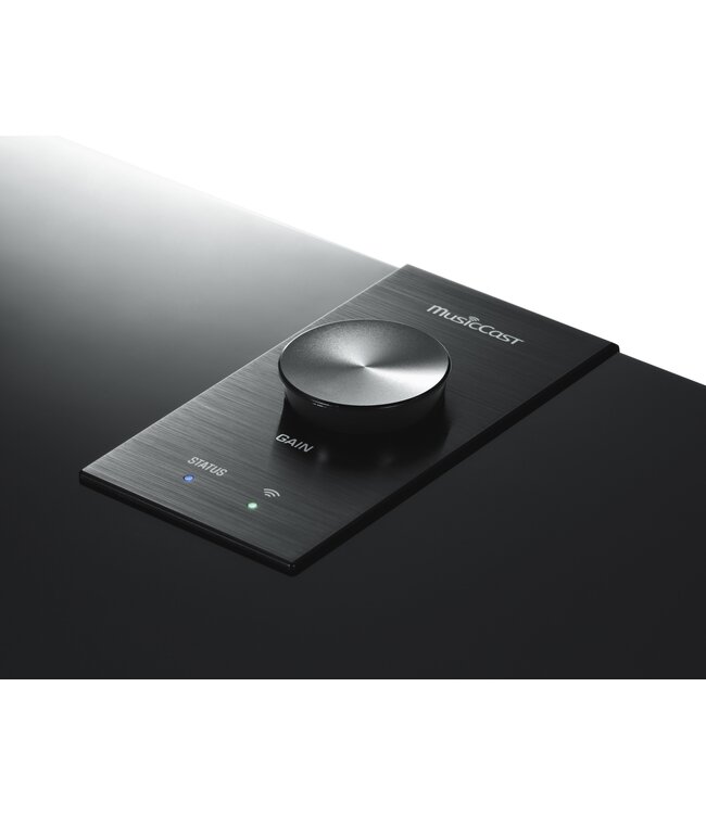 Yamaha MusicCast SUB 100 - Draadloze Subwoofer