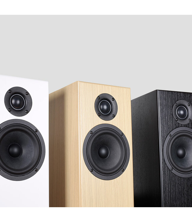 Totem Acoustic Bison Tower (Set van 2) - Vloerstaande Luidsprekers