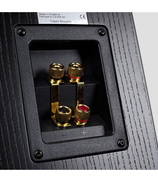 Totem Acoustic Bison Tower (Set van 2) - Vloerstaande Luidsprekers