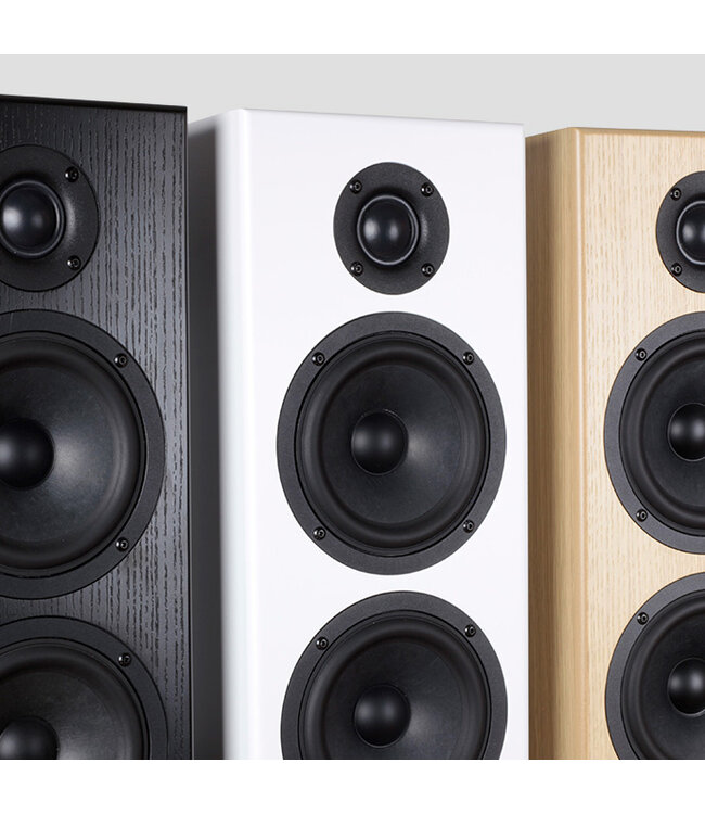 Totem Acoustic Bison Twin Tower (Set van 2) - Vloerstaande Luidsprekers