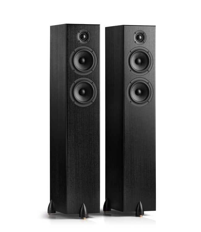 Totem Acoustic Vloerstaande Luidsprekers Bison Twin Tower (Set van 2)