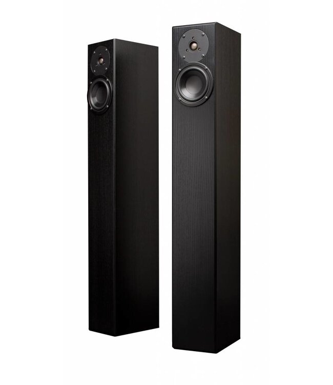 Totem Acoustic Arro (incl. Delrin Claws) (Set van 2) - Vloerstaande Luidsprekers