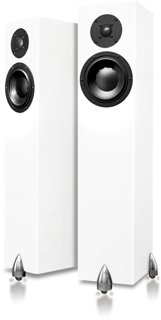 Luids Static Set Totem Acoustic Vloerstaande Luidspreker Forest (Set van 2) kopen ...
