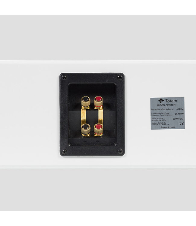 Totem Acoustic Bison Center - Center Luidspreker