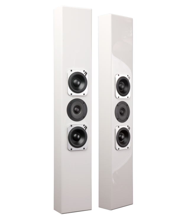 Totem Acoustic Tribe V - On-Wall Luidspreker