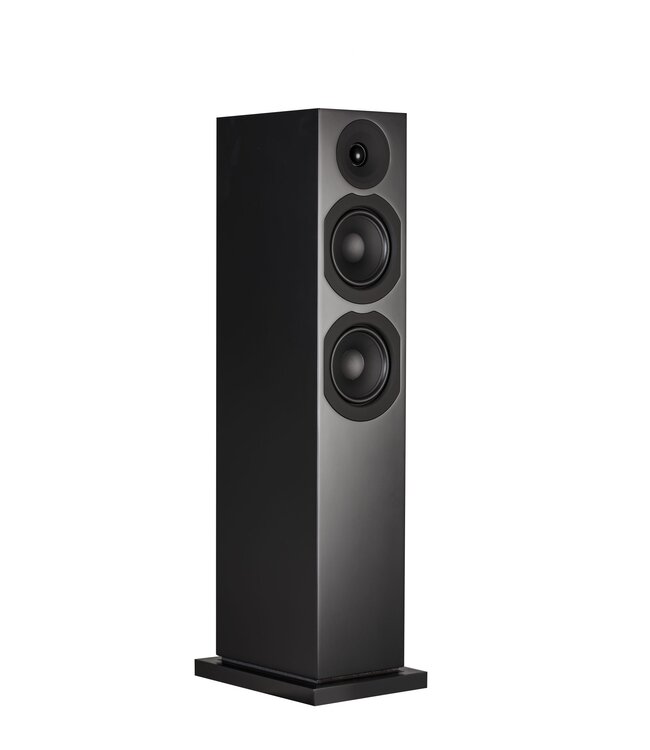 System Audio Saxo 40 (Set van 2) - Vloerstaande Luidsprekers