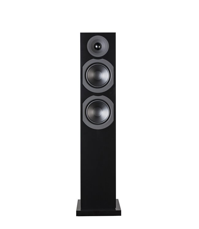 System Audio Saxo 40 (Set van 2) - Vloerstaande Luidsprekers