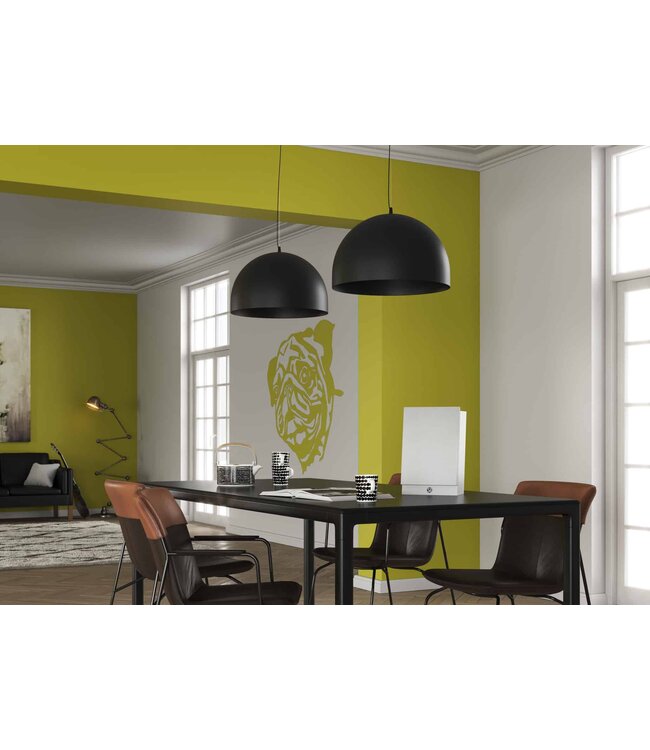 System Audio Silverback 1 (Set van 2) - Draadloze On-wall Luidsprekers