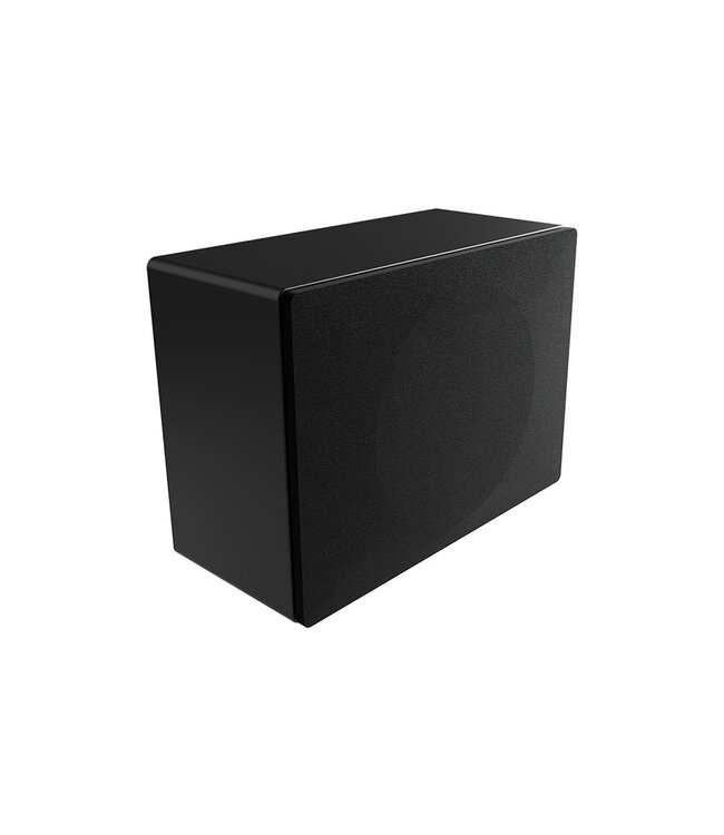 System Audio Silverback Solo - Draadloze Subwoofer