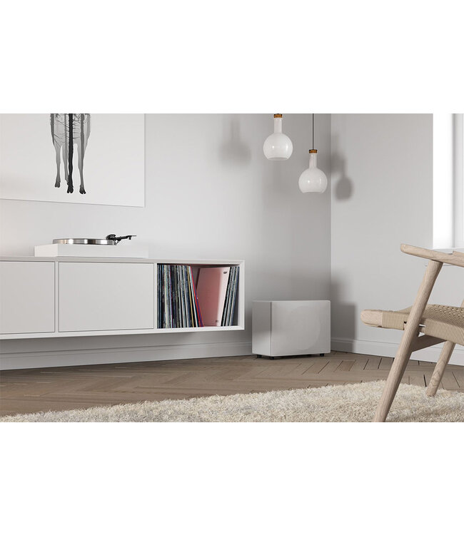 System Audio Silverback Solo - Draadloze Subwoofer