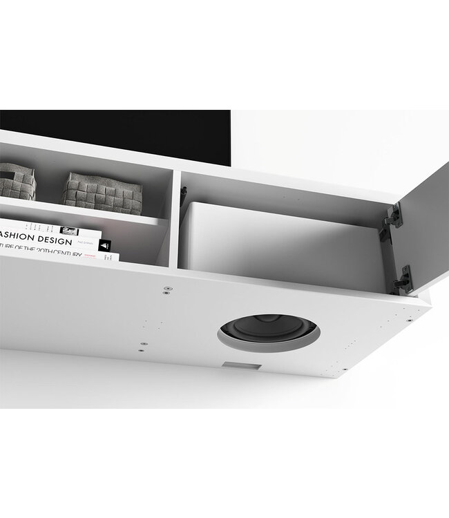 System Audio Silverback Solo - Draadloze Subwoofer