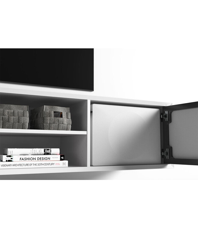 System Audio Silverback Solo - Draadloze Subwoofer