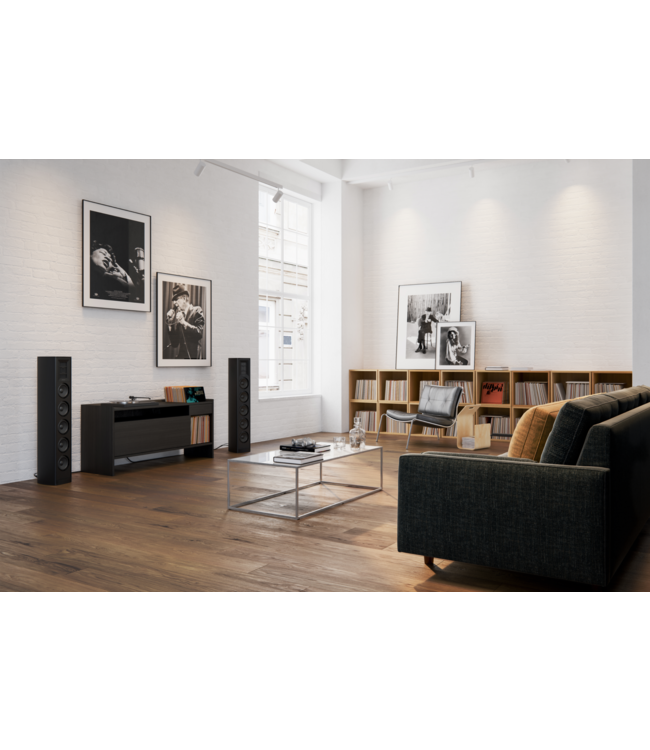 Piega Coax 611 (Set van 2) - Vloerstaande Luidsprekers