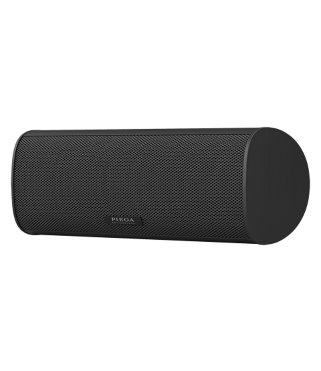 Piega Ace Center - Center Luidspreker