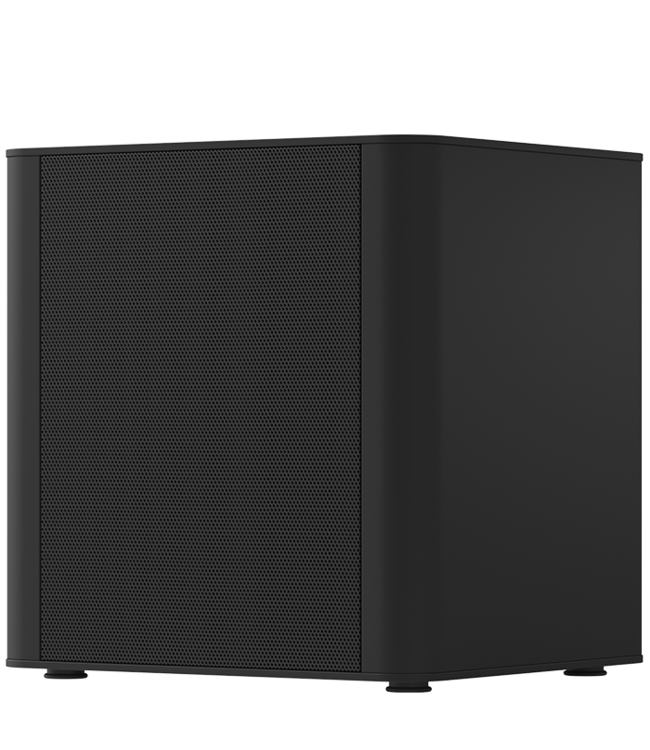 Piega PS 101 - Subwoofer