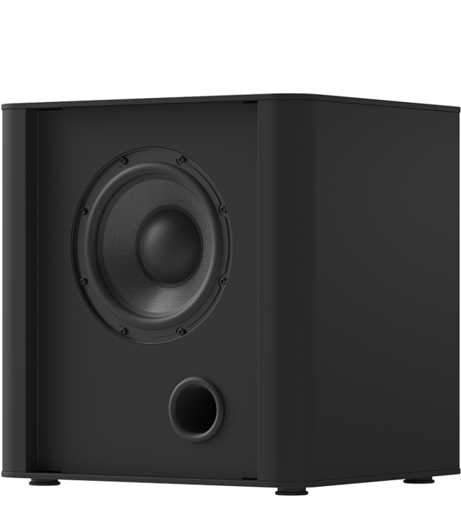 Piega PS 101 - Subwoofer