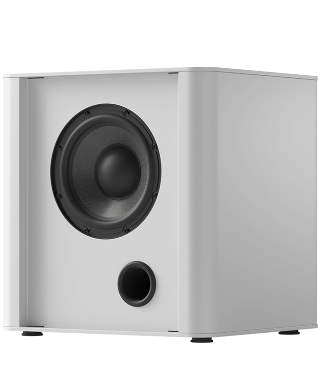 Piega PS 101 - Subwoofer