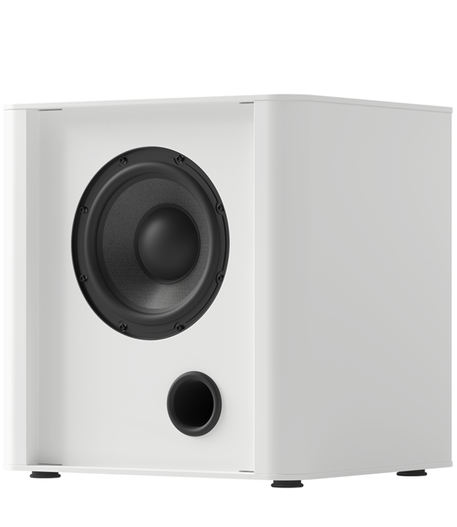 Piega PS 101 - Subwoofer