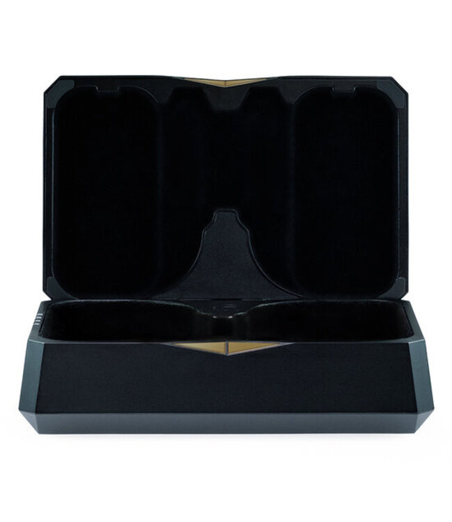 iFi Audio GO Pod - BlueTooth DAC Hoofdtelefoonversterker