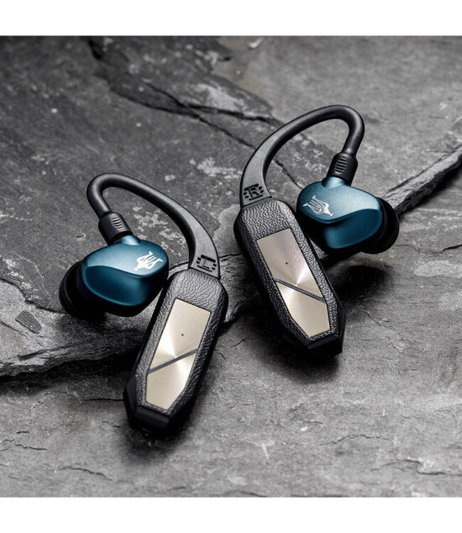 iFi Audio GO Pod - BlueTooth DAC Hoofdtelefoonversterker