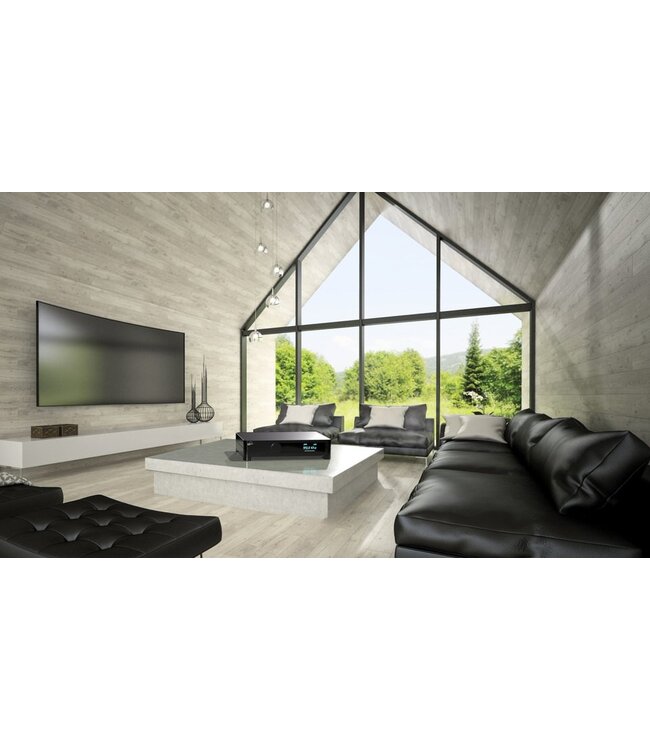 Ideon Audio Absolute Epsilon DAC - D/A Converter