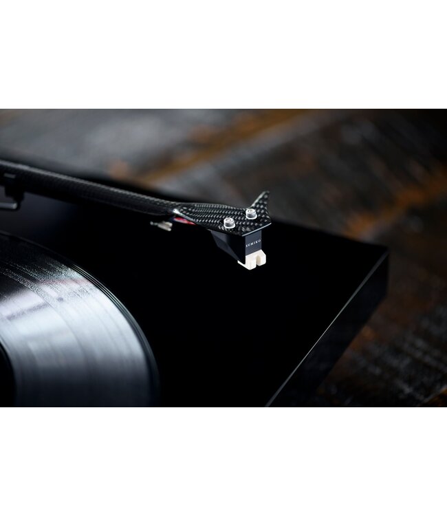 Sumiko Rainier - Element