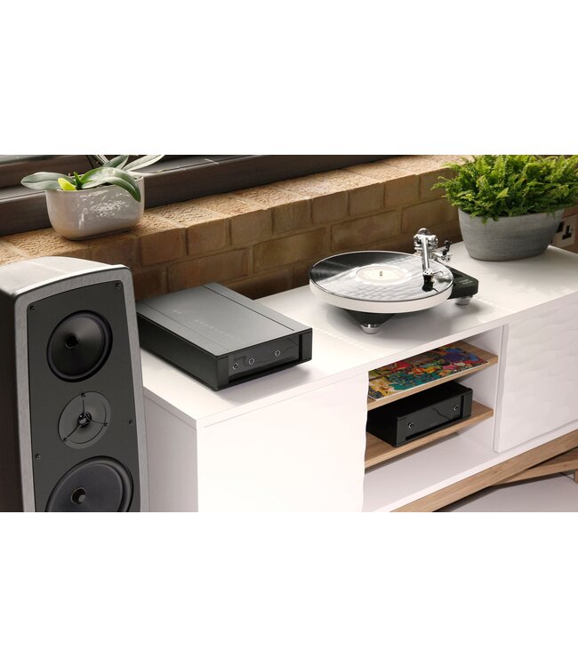 Rega NAIA - Platenspeler